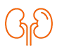 nephrology