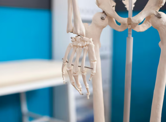 Orthopedic screenshot 2025 09 30 210521