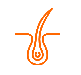 skin trichology